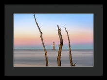 Load image into Gallery viewer, Folly Delight - Framed Print