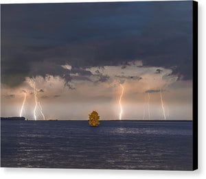 Lightning Tree - Canvas Print