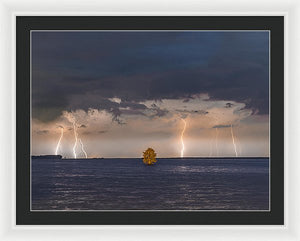 Lightning Tree - Framed Print