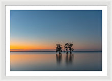 Load image into Gallery viewer, Stay Still - Framed Print