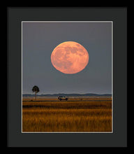 Load image into Gallery viewer, Super Duper Moon - Framed Print