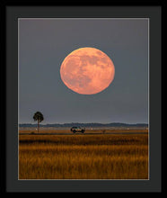 Load image into Gallery viewer, Super Duper Moon - Framed Print
