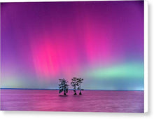 Load image into Gallery viewer, Southern Lights - Canvas Print