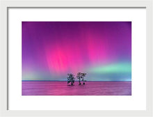Load image into Gallery viewer, Southern Lights - Framed Print