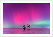 Load image into Gallery viewer, Southern Lights - Framed Print
