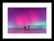Load image into Gallery viewer, Southern Lights - Framed Print