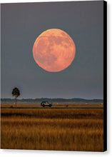 Load image into Gallery viewer, Super Duper Moon - Canvas Print