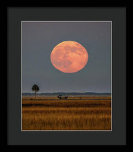 Load image into Gallery viewer, Super Duper Moon - Framed Print