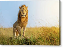 Load image into Gallery viewer, The Lion - Canvas Print