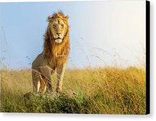 Load image into Gallery viewer, The Lion - Canvas Print