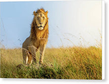 Load image into Gallery viewer, The Lion - Canvas Print