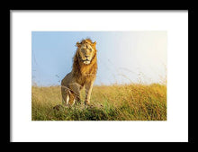 Load image into Gallery viewer, The Lion - Framed Print