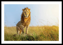 Load image into Gallery viewer, The Lion - Framed Print