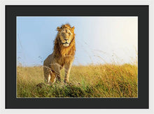 Load image into Gallery viewer, The Lion - Framed Print