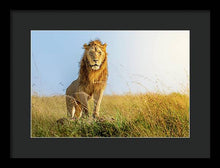 Load image into Gallery viewer, The Lion - Framed Print