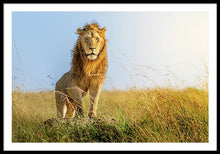 Load image into Gallery viewer, The Lion - Framed Print