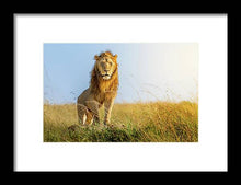 Load image into Gallery viewer, The Lion - Framed Print