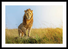 Load image into Gallery viewer, The Lion - Framed Print