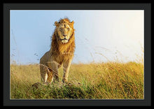 Load image into Gallery viewer, The Lion - Framed Print