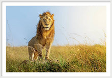 Load image into Gallery viewer, The Lion - Framed Print