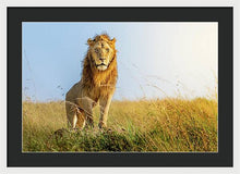 Load image into Gallery viewer, The Lion - Framed Print