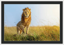Load image into Gallery viewer, The Lion - Framed Print