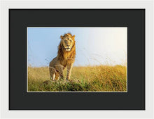 Load image into Gallery viewer, The Lion - Framed Print