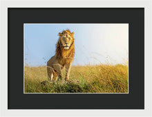 Load image into Gallery viewer, The Lion - Framed Print