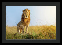 Load image into Gallery viewer, The Lion - Framed Print