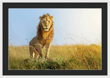 Load image into Gallery viewer, The Lion - Framed Print