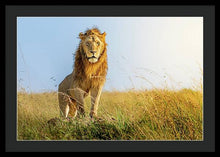 Load image into Gallery viewer, The Lion - Framed Print