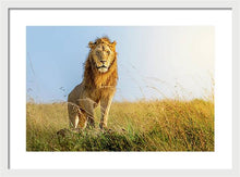 Load image into Gallery viewer, The Lion - Framed Print