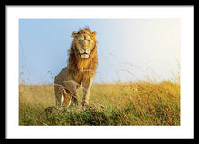 Load image into Gallery viewer, The Lion - Framed Print