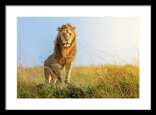 Load image into Gallery viewer, The Lion - Framed Print