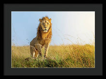 Load image into Gallery viewer, The Lion - Framed Print
