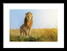 Load image into Gallery viewer, The Lion - Framed Print