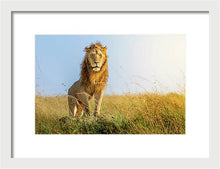 Load image into Gallery viewer, The Lion - Framed Print