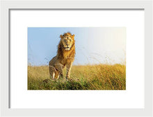 Load image into Gallery viewer, The Lion - Framed Print