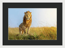 Load image into Gallery viewer, The Lion - Framed Print