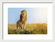 Load image into Gallery viewer, The Lion - Framed Print