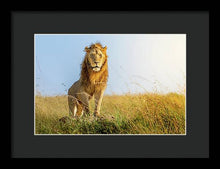 Load image into Gallery viewer, The Lion - Framed Print