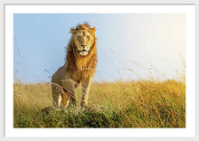 Load image into Gallery viewer, The Lion - Framed Print