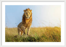 Load image into Gallery viewer, The Lion - Framed Print
