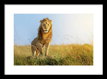 Load image into Gallery viewer, The Lion - Framed Print