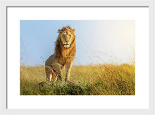 Load image into Gallery viewer, The Lion - Framed Print