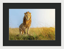 Load image into Gallery viewer, The Lion - Framed Print