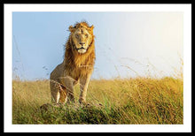 Load image into Gallery viewer, The Lion - Framed Print