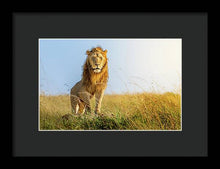 Load image into Gallery viewer, The Lion - Framed Print