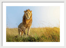 Load image into Gallery viewer, The Lion - Framed Print