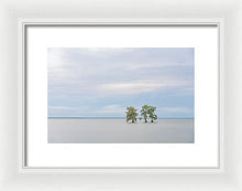 Load image into Gallery viewer, Be Still - Framed Print